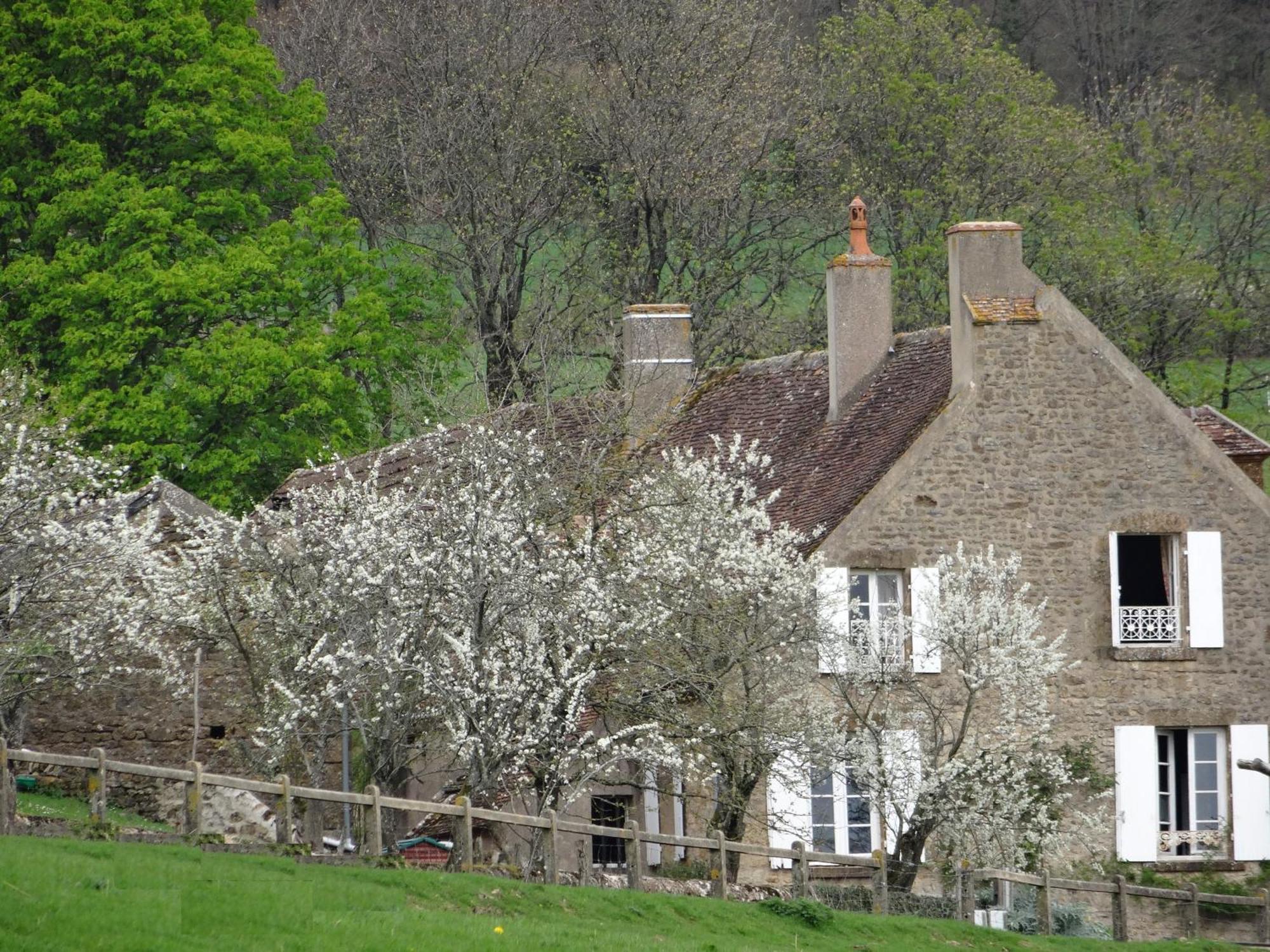 Domaine De Dremont Bed & Breakfast Anthien Dış mekan fotoğraf