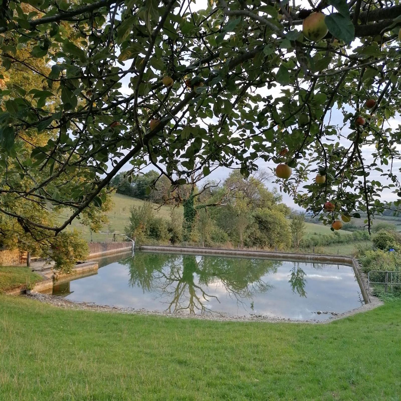 Domaine De Dremont Bed & Breakfast Anthien Dış mekan fotoğraf